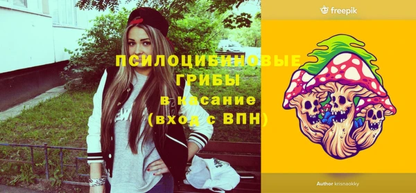 крисы Богданович