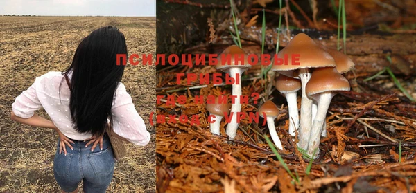 бутират Богородицк